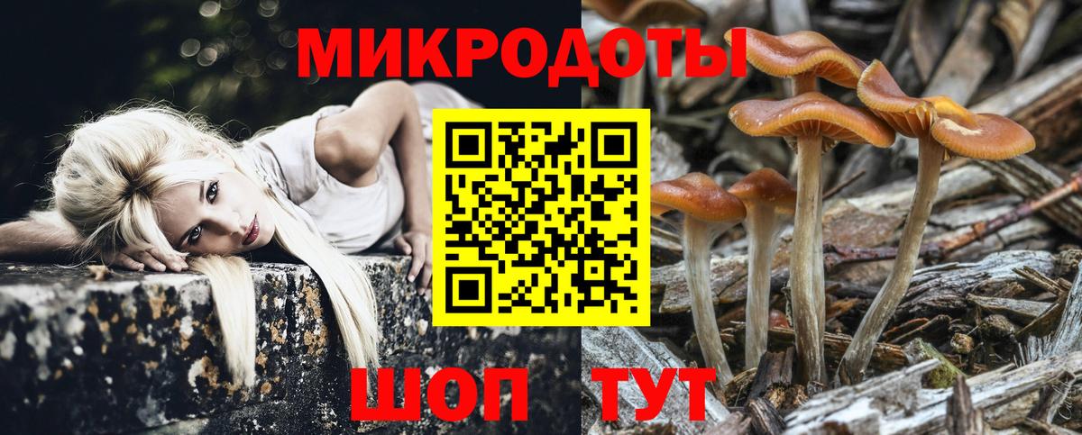 Галлюциногенные грибы Magic Shrooms Дальнереченск