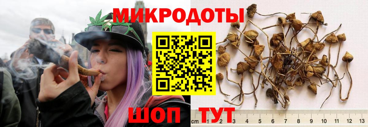 Галлюциногенные грибы мицелий  Вход с VPN  Дальнереченск  Псилоцибиновые грибы MAGIC MUSHROOMS 